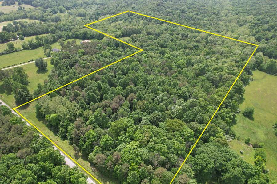 Wooded Property near Garden of the Gods